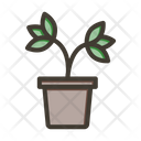 پیش‌نمایش فایل pot-plant-9919580 از پک بانکداری و امور مالی