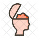 پیش‌نمایش فایل open-mind-9920180 از پک نسل هزاره