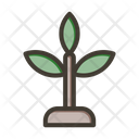 پیش‌نمایش فایل seedling-9956648 از پک فصلی