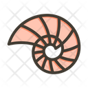 پیش‌نمایش فایل spiral-shell-9956658 از پک فصلی