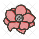 پیش‌نمایش فایل anemone-9955702 از پک گیاهان و گل‌ها