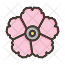 پیش‌نمایش فایل dianthus-9955718 از پک گیاهان و گل‌ها