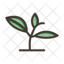 پیش‌نمایش فایل grow-plant-9955697 از پک گیاهان و گل‌ها