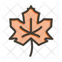 پیش‌نمایش فایل maple-leaf-9955705 از پک گیاهان و گل‌ها