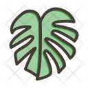 پیش‌نمایش فایل monstera-9955734 از پک گیاهان و گل‌ها