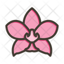 پیش‌نمایش فایل moth-orchid-9955698 از پک گیاهان و گل‌ها