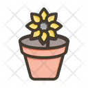 پیش‌نمایش فایل plant-pot-9955733 از پک گیاهان و گل‌ها