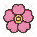 پیش‌نمایش فایل primrose-9955688 از پک گیاهان و گل‌ها