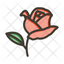 پیش‌نمایش فایل rose-9955689 از پک گیاهان و گل‌ها