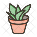 پیش‌نمایش فایل snake-plant-9955732 از پک گیاهان و گل‌ها