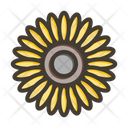 پیش‌نمایش فایل sunflower-9955713 از پک گیاهان و گل‌ها