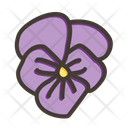 پیش‌نمایش فایل violet-9955727 از پک گیاهان و گل‌ها