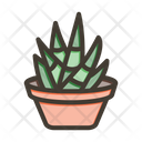 پیش‌نمایش فایل zebra-plant-9955712 از پک گیاهان و گل‌ها