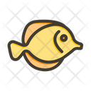پیش‌نمایش فایل butterflyfish-10006474 از پک اقیانوس