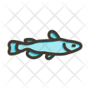 پیش‌نمایش فایل catfish-10006475 از پک اقیانوس