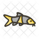 پیش‌نمایش فایل clown-loach-10006477 از پک اقیانوس