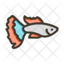 پیش‌نمایش فایل guppy-10006471 از پک اقیانوس