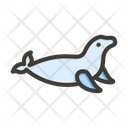 پیش‌نمایش فایل seal-10006483 از پک اقیانوس