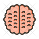 پیش‌نمایش فایل brain-10006508 از پک شبکه‌سازی