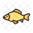 پیش‌نمایش فایل carp-10006655 از پک ماهیگیری