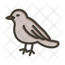 پیش‌نمایش فایل bird-10075932 از پک آرکید