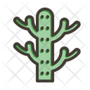 پیش‌نمایش فایل cactus-10076080 از پک باغ و فضای سبز