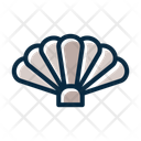 پیش‌نمایش فایل shell-10241481 از پک تابستان