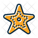 پیش‌نمایش فایل starfish-10241467 از پک تابستان