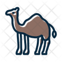 پیش‌نمایش فایل camel-10241667 از پک اسلامی