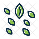پیش‌نمایش فایل seeds-10205431 از پک کشاورزی
