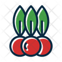پیش‌نمایش فایل berries-10205964 از پک بقا