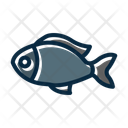 پیش‌نمایش فایل fish-10205968 از پک بقا