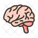 پیش‌نمایش فایل brain-10297101 از پک نِرد