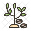 پیش‌نمایش فایل coffer-tree-10297690 از پک کافی‌شاپ