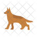 پیش‌نمایش فایل dog-10459730 از پک ارتش