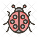 پیش‌نمایش فایل ladybug-10595453 از پک متفرقه
