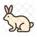 پیش‌نمایش فایل rabbit-10595442 از پک متفرقه