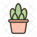 پیش‌نمایش فایل succulent-10595868 از پک بازیافت خلاقانه