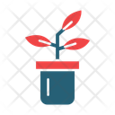پیش‌نمایش فایل plants-10596219 از پک طراحی داخلی