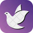 پیش‌نمایش فایل dove-10648795 از پک عروسی