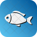 پیش‌نمایش فایل fish-10650886 از پک بقا
