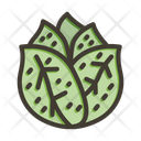 پیش‌نمایش فایل lettuce-10658089 از پک گرم خانه