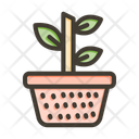 پیش‌نمایش فایل plant-10658112 از پک گرم خانه