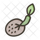 پیش‌نمایش فایل seeds-10658081 از پک گرم خانه