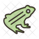پیش‌نمایش فایل frog-10658587 از پک گرمسیری