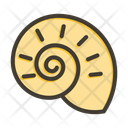 پیش‌نمایش فایل shell-10658629 از پک گرمسیری