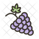 پیش‌نمایش فایل grapes-10658853 از پک پیک‌نیک