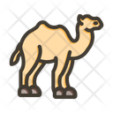 پیش‌نمایش فایل camel-10658893 از پک بیابان