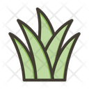 پیش‌نمایش فایل grass-10658925 از پک بیابان