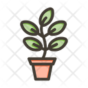 پیش‌نمایش فایل plant-10659078 از پک سورویللانک